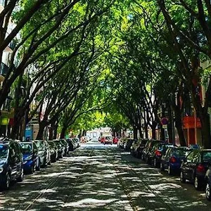 Campo De Ourique * Lisbon