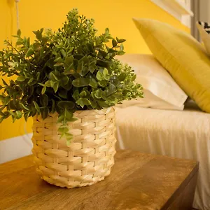Bed and breakfast Intendente 1865 3*
