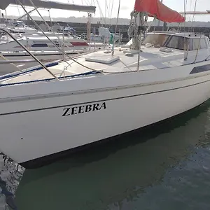 Zeebra - Jeanneau Espace 1000 Sailboat *